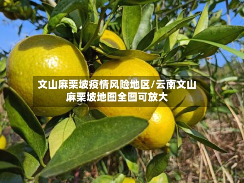 文山麻栗坡疫情风险地区/云南文山麻栗坡地图全图可放大-第3张图片