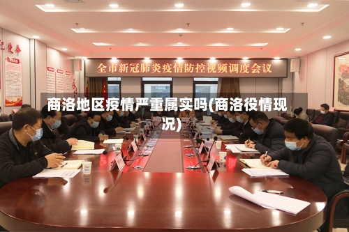 商洛地区疫情严重属实吗(商洛役情现况)-第1张图片