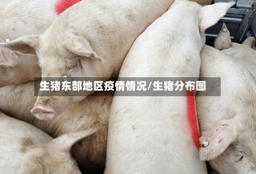 生猪东部地区疫情情况/生猪分布图-第1张图片
