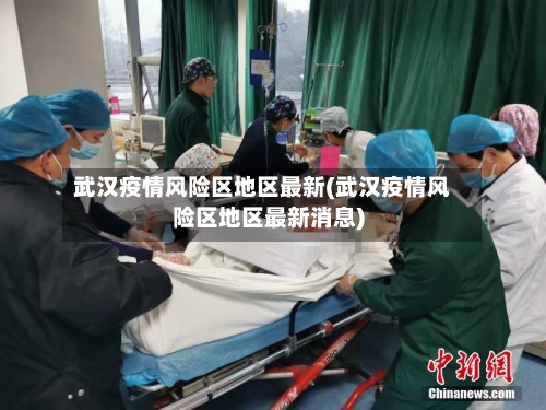 武汉疫情风险区地区最新(武汉疫情风险区地区最新消息)-第1张图片