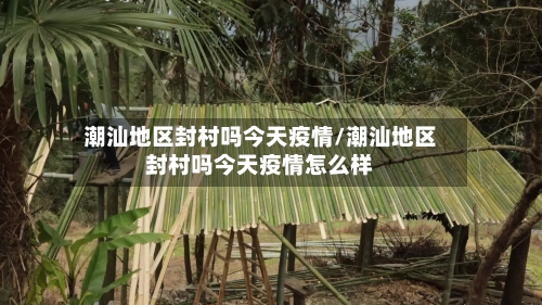 潮汕地区封村吗今天疫情/潮汕地区封村吗今天疫情怎么样-第2张图片