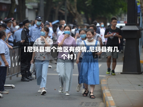 【尼玛县哪个地区有疫情,尼玛县有几个村】-第2张图片