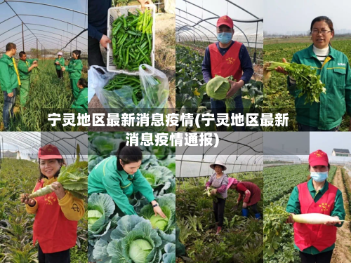 宁灵地区最新消息疫情(宁灵地区最新消息疫情通报)-第2张图片
