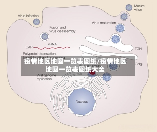 疫情地区地图一览表图纸/疫情地区地图一览表图纸大全-第2张图片