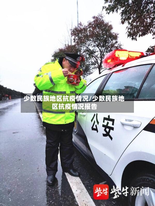 少数民族地区抗疫情况/少数民族地区抗疫情况报告-第1张图片