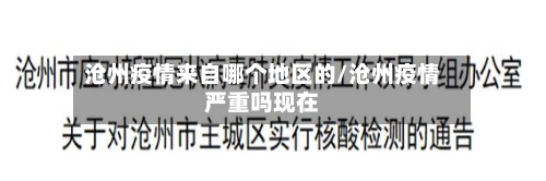 沧州疫情来自哪个地区的/沧州疫情严重吗现在-第2张图片