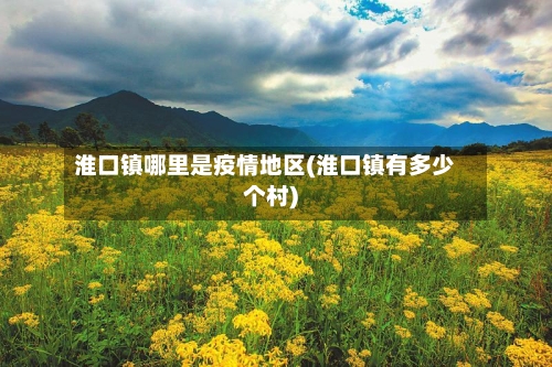 淮口镇哪里是疫情地区(淮口镇有多少个村)-第2张图片