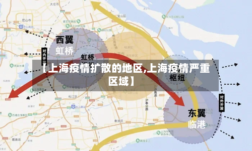 【上海疫情扩散的地区,上海疫情严重区域】-第3张图片