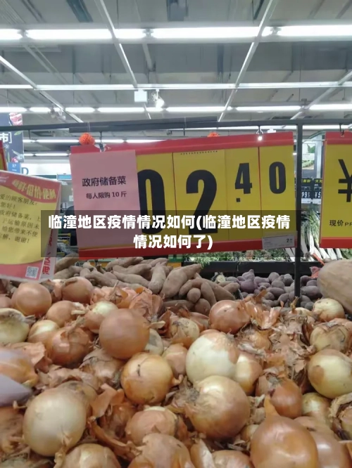 临潼地区疫情情况如何(临潼地区疫情情况如何了)-第1张图片