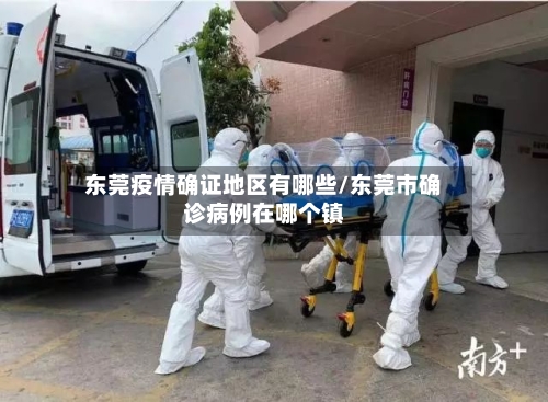 东莞疫情确证地区有哪些/东莞市确诊病例在哪个镇-第2张图片