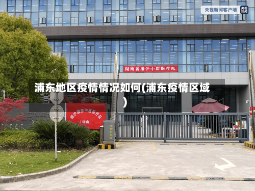 浦东地区疫情情况如何(浦东疫情区域)-第1张图片
