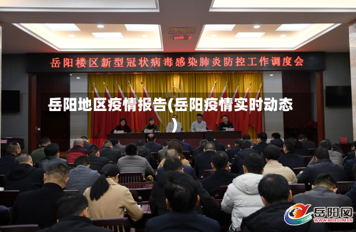 岳阳地区疫情报告(岳阳疫情实时动态)-第2张图片