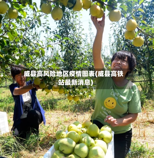 威县高风险地区疫情图表(威县高铁站最新消息)-第1张图片
