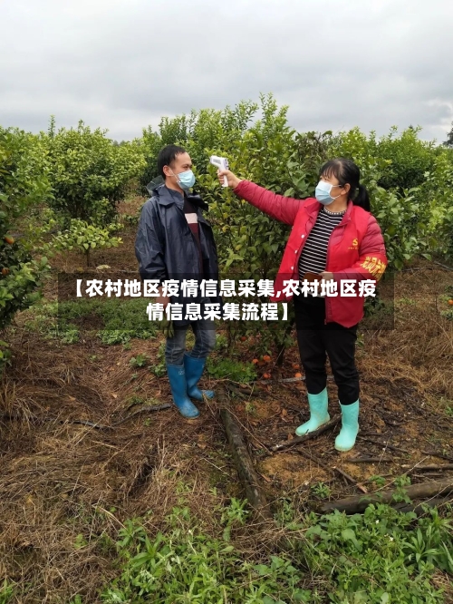 【农村地区疫情信息采集,农村地区疫情信息采集流程】-第3张图片