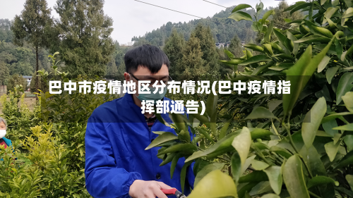 巴中市疫情地区分布情况(巴中疫情指挥部通告)-第1张图片