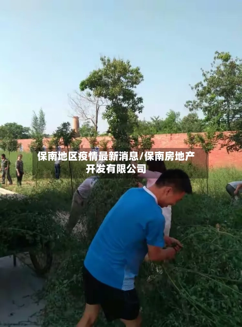 保南地区疫情最新消息/保南房地产开发有限公司-第2张图片