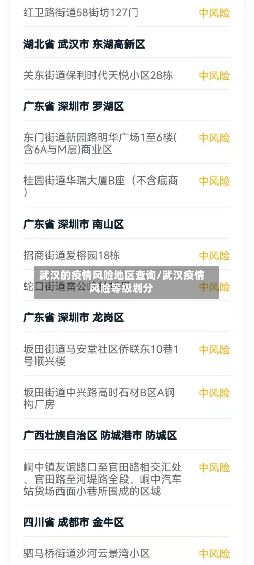 武汉的疫情风险地区查询/武汉疫情风险等级划分-第2张图片