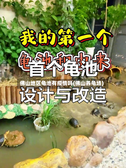 佛山地区龟池有疫情吗(佛山养龟场)-第1张图片