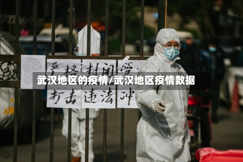 武汉地区的疫情/武汉地区疫情数据-第1张图片
