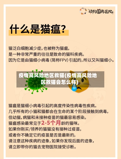 疫情高风险地区救猫(疫情高风险地区救猫会怎么样)-第3张图片