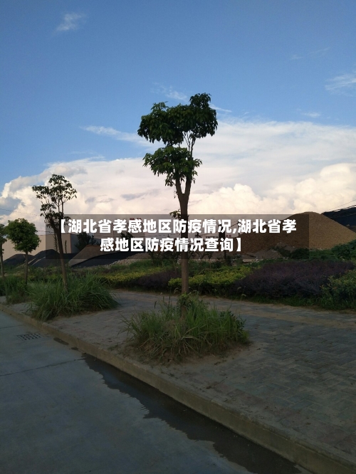 【湖北省孝感地区防疫情况,湖北省孝感地区防疫情况查询】-第2张图片
