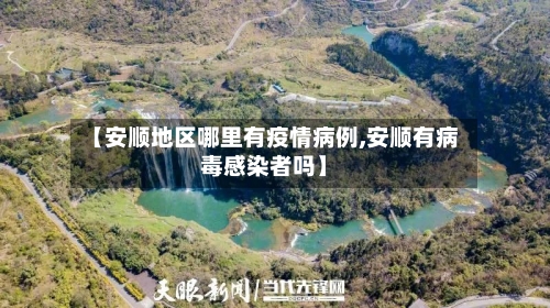 【安顺地区哪里有疫情病例,安顺有病毒感染者吗】-第1张图片