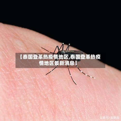 【泰国登革热疫情地区,泰国登革热疫情地区最新消息】-第1张图片