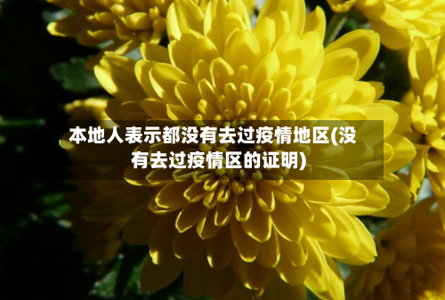 本地人表示都没有去过疫情地区(没有去过疫情区的证明)-第1张图片