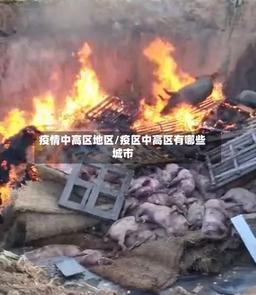 疫情中高区地区/疫区中高区有哪些城市-第1张图片