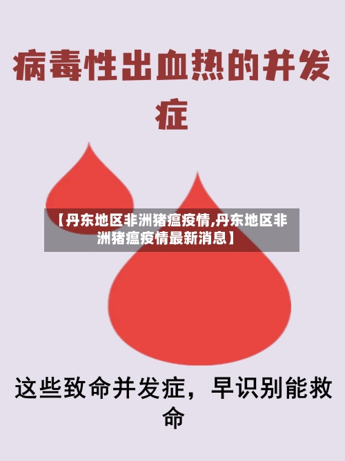 【丹东地区非洲猪瘟疫情,丹东地区非洲猪瘟疫情最新消息】-第2张图片