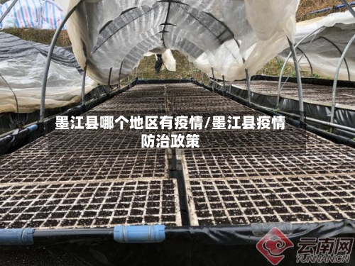 墨江县哪个地区有疫情/墨江县疫情防治政策-第2张图片