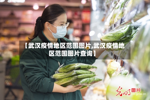 【武汉疫情地区范围图片,武汉疫情地区范围图片查询】-第3张图片