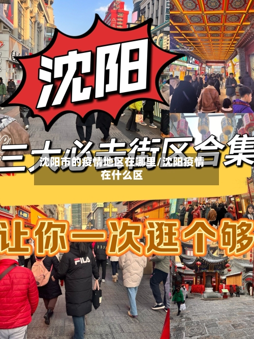 沈阳市的疫情地区在哪里/沈阳疫情在什么区-第1张图片