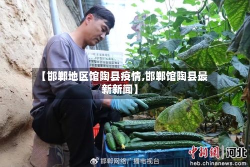 【邯郸地区馆陶县疫情,邯郸馆陶县最新新闻】-第3张图片