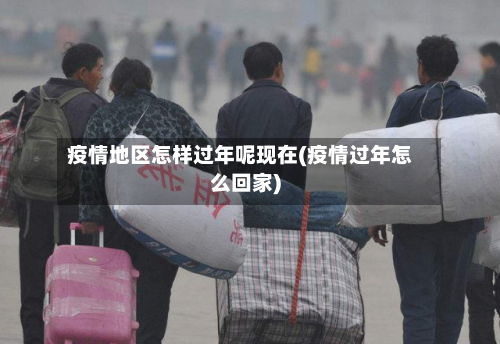 疫情地区怎样过年呢现在(疫情过年怎么回家)-第2张图片