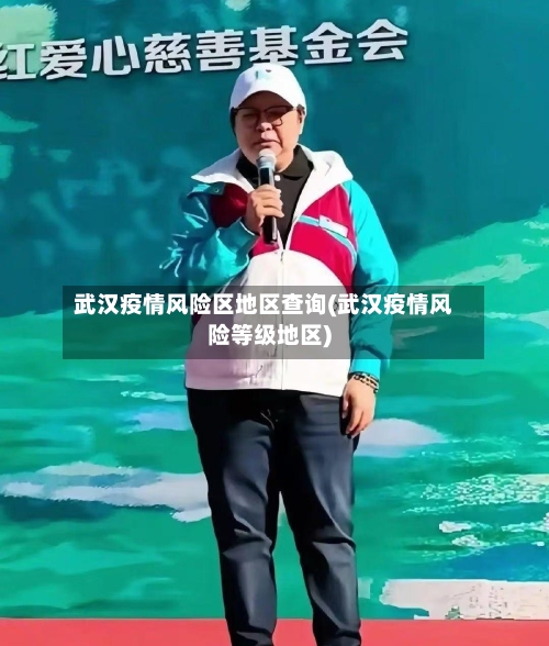 武汉疫情风险区地区查询(武汉疫情风险等级地区)-第1张图片