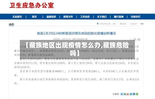 【藏族地区出现疫情怎么办,藏族危险吗】-第2张图片