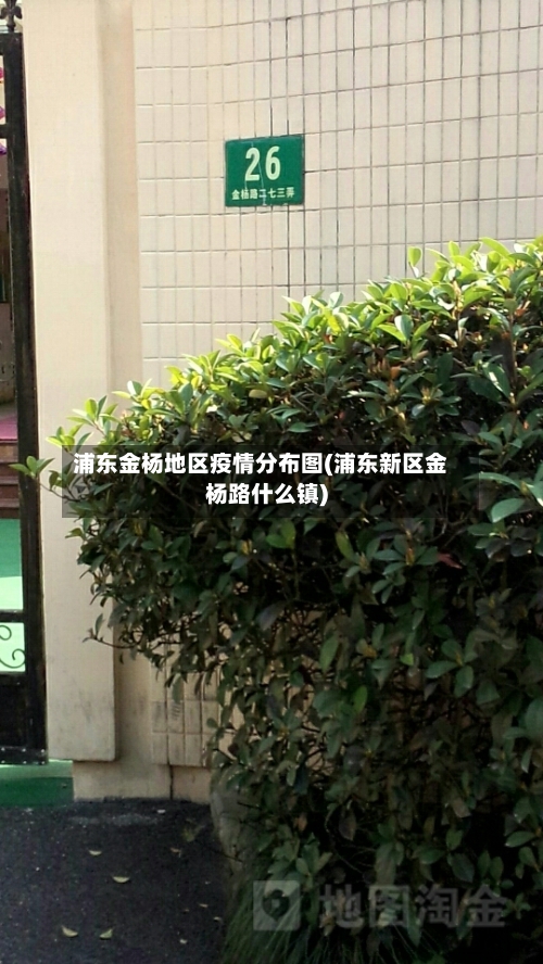 浦东金杨地区疫情分布图(浦东新区金杨路什么镇)-第1张图片