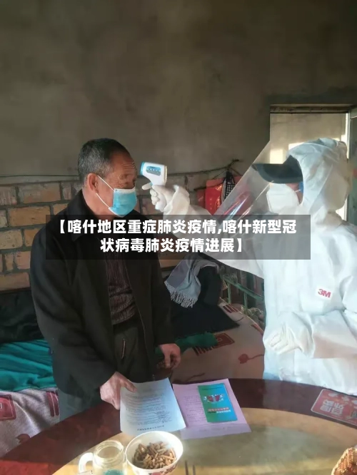 【喀什地区重症肺炎疫情,喀什新型冠状病毒肺炎疫情进展】-第2张图片