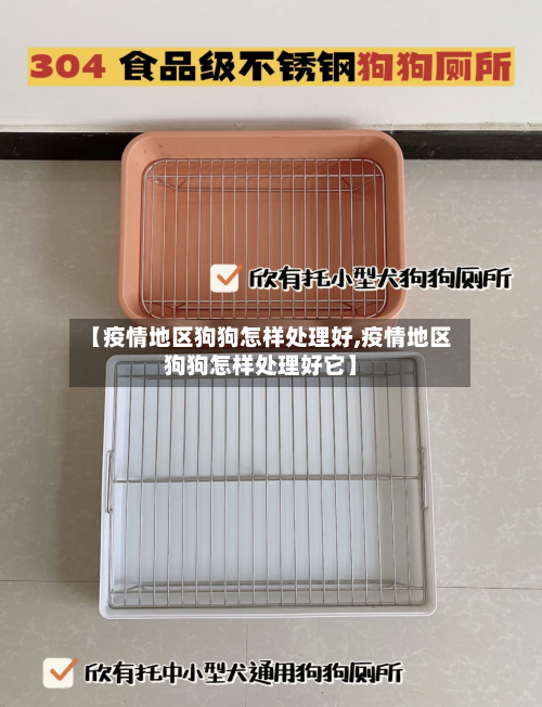 【疫情地区狗狗怎样处理好,疫情地区狗狗怎样处理好它】-第3张图片
