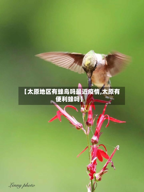 【太原地区有蜂鸟吗最近疫情,太原有便利蜂吗】-第2张图片