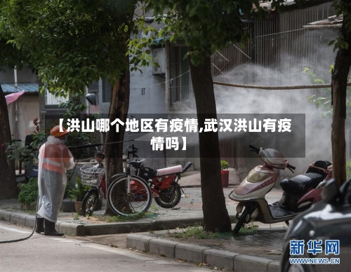 【洪山哪个地区有疫情,武汉洪山有疫情吗】-第3张图片