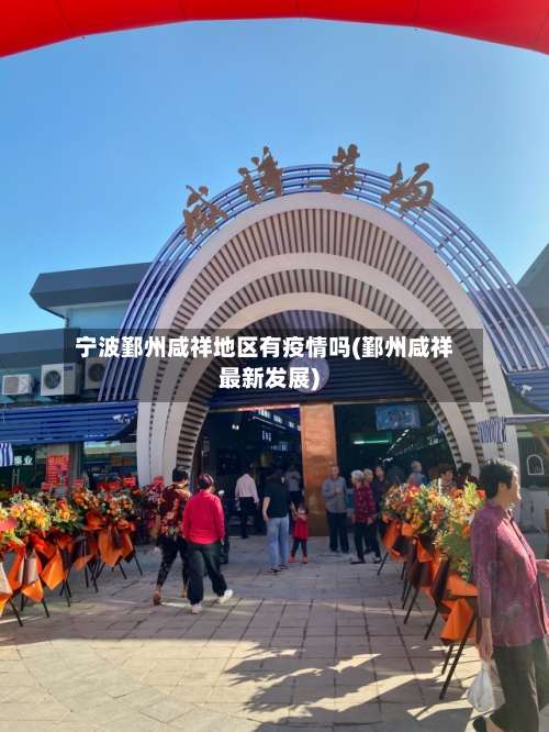宁波鄞州咸祥地区有疫情吗(鄞州咸祥最新发展)-第3张图片