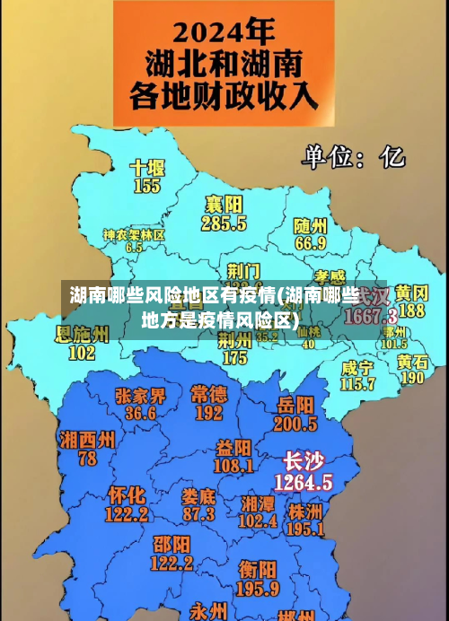 湖南哪些风险地区有疫情(湖南哪些地方是疫情风险区)-第1张图片