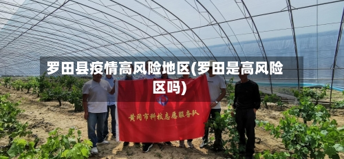 罗田县疫情高风险地区(罗田是高风险区吗)-第2张图片