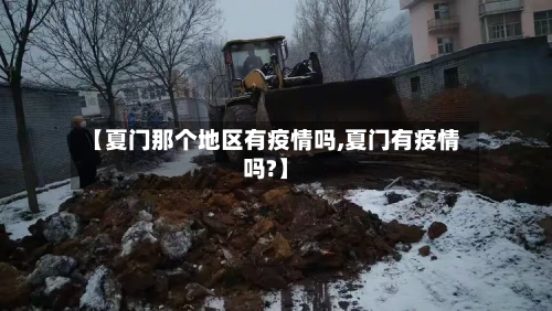 【夏门那个地区有疫情吗,夏门有疫情吗?】-第3张图片