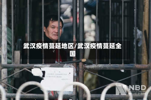 武汉疫情蔓延地区/武汉疫情蔓延全国-第1张图片