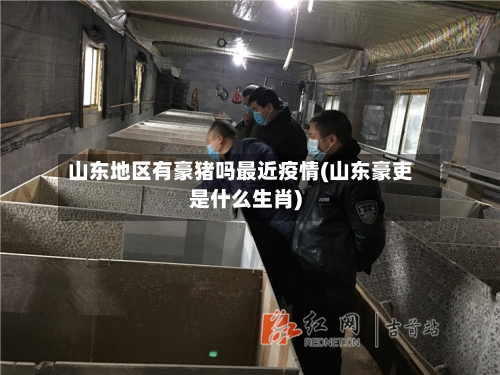 山东地区有豪猪吗最近疫情(山东豪吏是什么生肖)-第1张图片