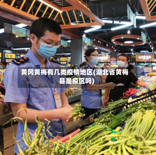 黄冈黄梅有几类疫情地区(湖北省黄梅县是疫区吗)-第2张图片