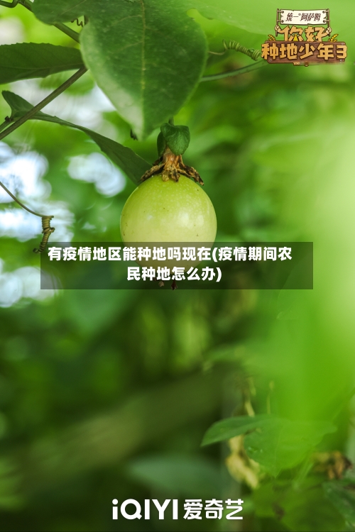有疫情地区能种地吗现在(疫情期间农民种地怎么办)-第1张图片
